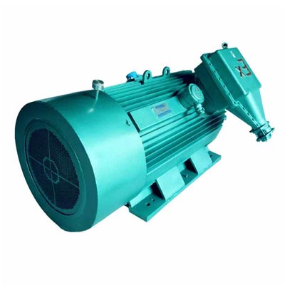 YBX2系列高压隔爆型高效率三相异步电动机