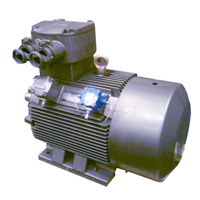 YBE2系列隔爆型高效率三相异步电动机